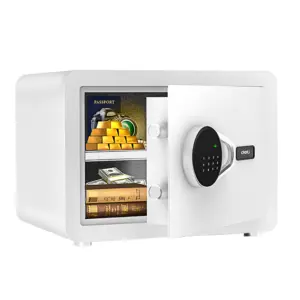 Deli ET541 Household Safe Box