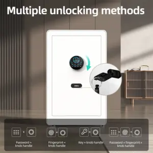 Deli ET633 Fingerprint Household Safe, Triple Lock