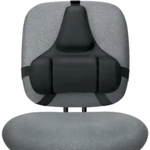 Fellowes Professional Series Ultimate Back Support 8041801-99